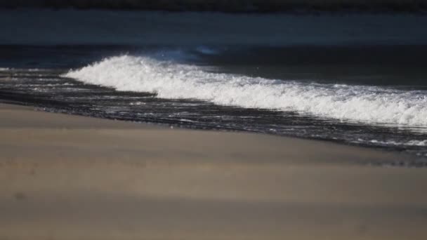 Waves Rolling Sandy Shore Slow Motion — Vídeos de Stock