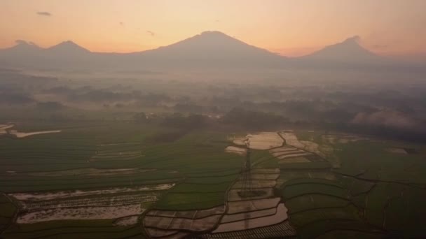 Aerial Drone View Rice Fields Morning Background Mountain Central Java — Vídeo de Stock