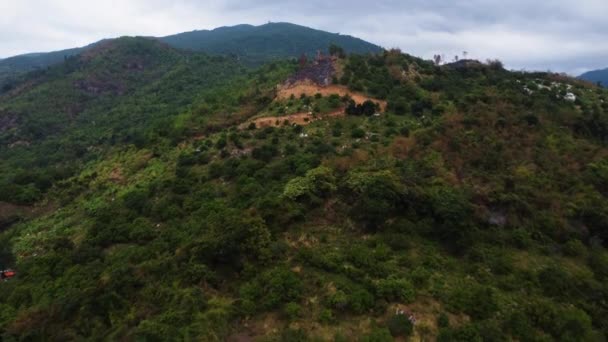 Vue Aérienne Vers Avant Forêt Avec Des Signes Clairs Déforestation — Video