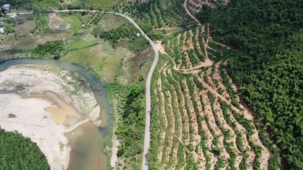 Aerial Forward View Slope Deforested Next River Cam Ranh Vietnam — Wideo stockowe