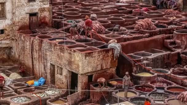 Временной Снимок Многих Людей Работающих Кожевенном Солярии Чуаре Марокко — стоковое видео