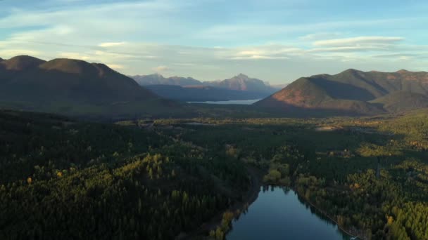 Lush Forest Scenery Magnificent Mountain Range Montana Lake Usa Aerial — Vídeo de stock