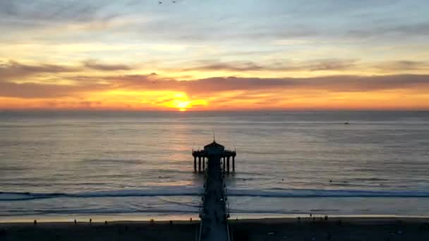 Les Gens Nagent Manhattan Beach Pendant Coucher Soleil Laps Temps — Video