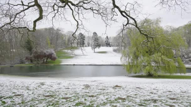 Wide Snowy Winter View Woluwepark Parc Woluwe Brussels Belgium — 비디오