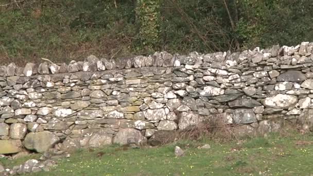 Suchy Kamienny Mur Północna Walia Wielka Brytania Rok 2022 — Wideo stockowe
