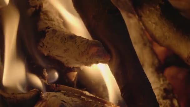 Close Shot Wood Burning Log Fire — Vídeos de Stock