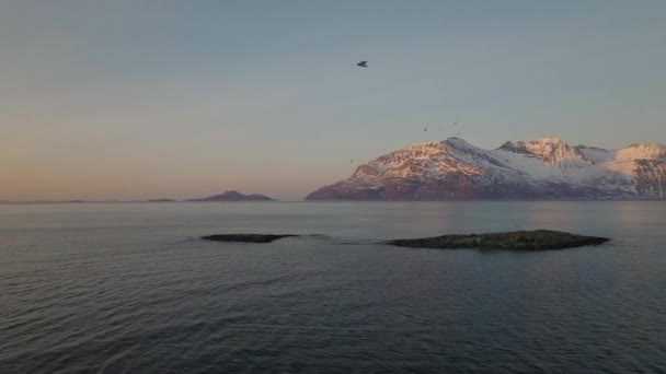 Stunning Drone Shot Coast Norway Sunrise Birds Flying — стоковое видео