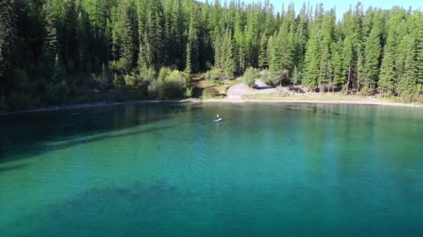 Изолированный Вид Человека Стоящего Голубой Спокойной Воде Озере Эшли Монтане — стоковое видео