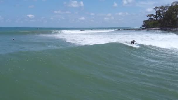 Surferka Złapała Falę Pan Dulce Beach Półwyspie Osa Kostaryce — Wideo stockowe