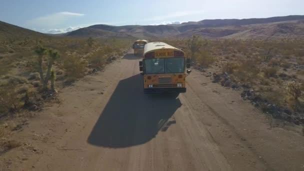 Dois Autocarros Escolares Atravessam Deserto Mohave — Vídeo de Stock