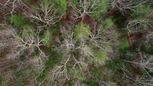Aerial Drone Video Video Footage Rising Beautiful Appalachian Mountains — Vídeos de Stock