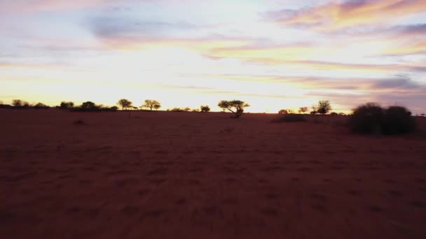 Long Fast Drone Shot Red Sand Desert Namibia Africa Some — Stock video