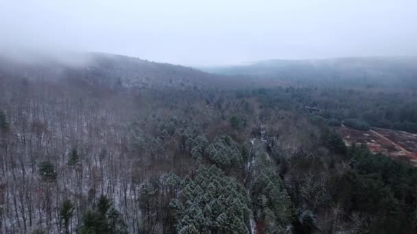 冬の間 アパラチア山脈の低い雲と美しい雪に覆われた霧の多い日の空中ドローンビデオ映像 これはニューヨークのキャッツキル山脈のサブレンジです — ストック動画