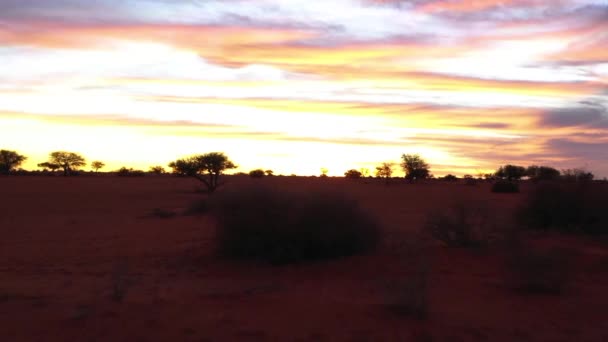 Voando Com Drone Sobre Deserto Namíbia África Enquanto Sol Põe — Vídeo de Stock