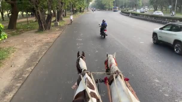 インドの西ベンガル州ムルシダバッドでタンガとしても知られている伝統的な馬車のPovショットは 主に街中の観光客を運ぶために使用されます — ストック動画