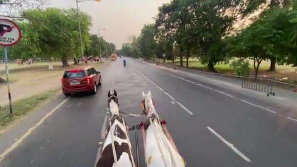 Pov Shot Horse Chariot Ride Tanga Ride Winter Afternoon Maidan — Video Stock