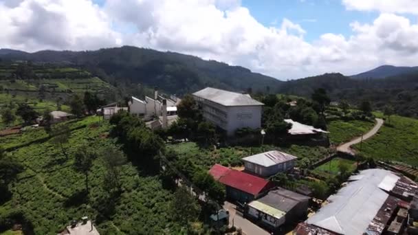 Nuwara Eliya Pedro Tea Estate Tea Factory Plantation Hill Country — Vídeo de Stock