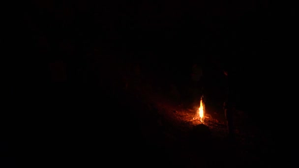 Tábortűz Kempingezőkkel Egy Sötét Barlangban — Stock videók