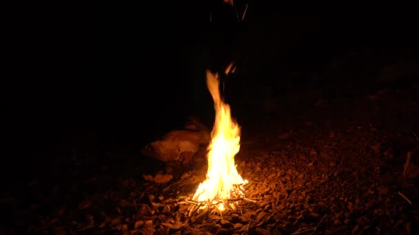 Kampvuur Een Grot Met Stenen Eromheen — Stockvideo