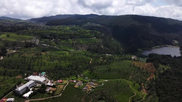 Aerial View Village Tea Plantations Agricultural Lands Nuwara Eliya Sri — Vídeo de stock
