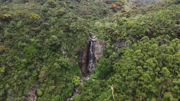 Escondido Entre Vasta Selva Verde Com Imponentes Árvores Altas Alta — Vídeo de Stock