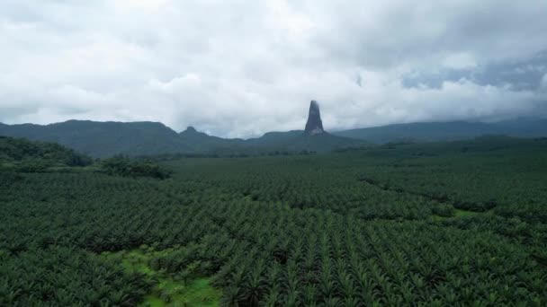Aerial View Pico Cao Grande Peak Overcast Day Sao Tome — ストック動画