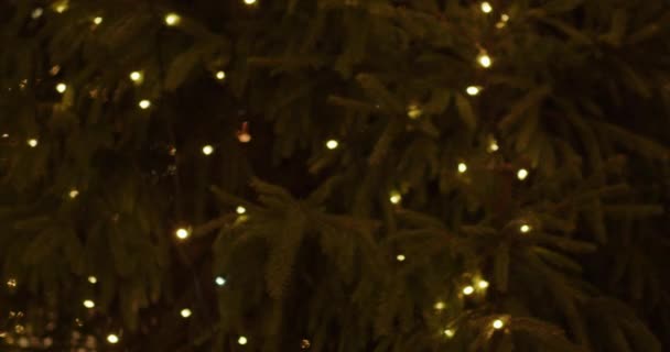Мерцающие Абстрактные Цветные Круги Разрядили Рождественские Огни Видео Размытые Огни — стоковое видео