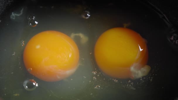 Adding Salt Raw Eggs Beating Them Cooking Scrambled Eggs — Stockvideo