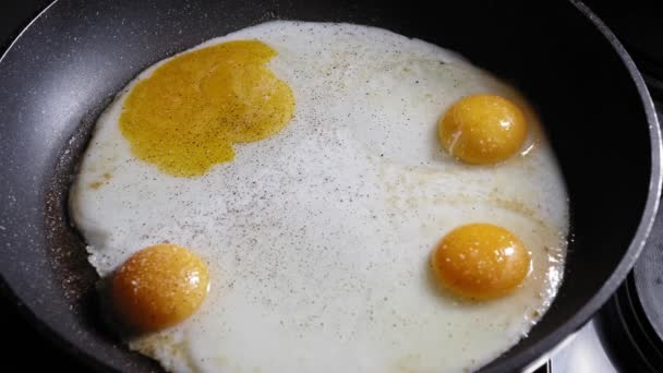 Frying Eggs Skillet Seasoned Salt Pepper Close — Video Stock