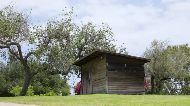 Wooden Barn Woods — Stock video