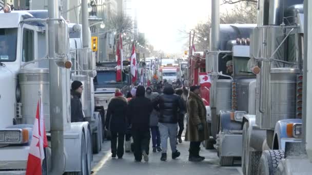 Végtelen Sor Teherautók Kanadai Zászló Blokkoló Utcák Ottawa Kézi Nézet — Stock videók