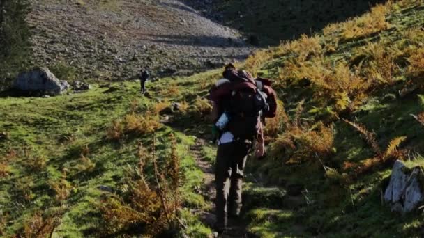 Backpackers Trekking Mountain — Stock video