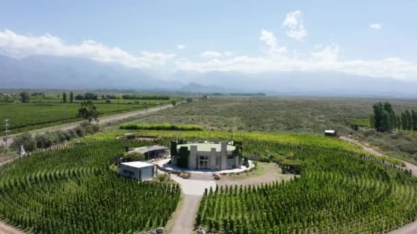 Modern Organic Wine Cellar Open Air Sunny Day Aerial View — Stock Video