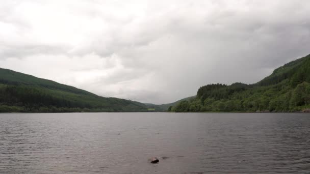 Calmante Floresta Escocesa Loch Cena Dia Nublado — Vídeo de Stock