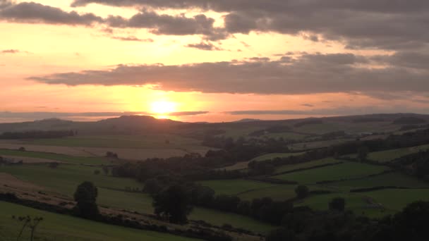스코틀랜드의 농경지 아름다운 — 비디오