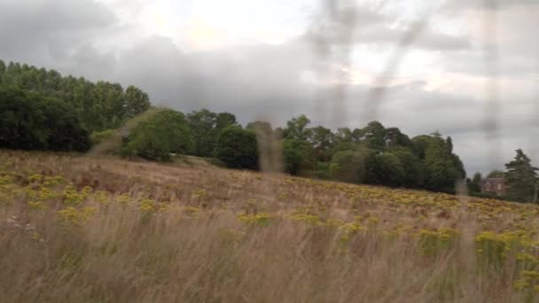 Meadow Outskirts Rural Community — Stock Video