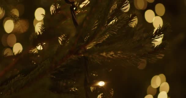 Chiudere Albero Natale Luci Scintillanti Notte Molte Luci Sul Nuovo — Video Stock