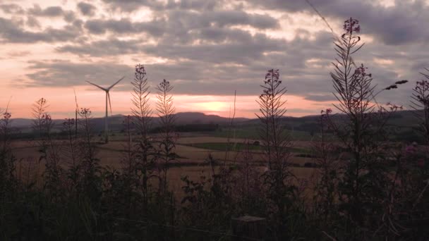 Sonnenuntergang Mit Windkraftanlage Auf Ackerland — Stockvideo