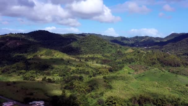 在布满茂密植被 树木和灌木的多山山谷中飞行 在布满群山和云彩的地平线上 无人驾驶飞机在波多黎各上空盘旋 — 图库视频影像