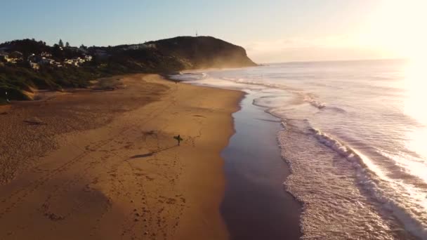 Беспилотный Снимок Серфера Прогуливающегося Песчаному Пляжу Тихого Океана Утром Красивыми — стоковое видео