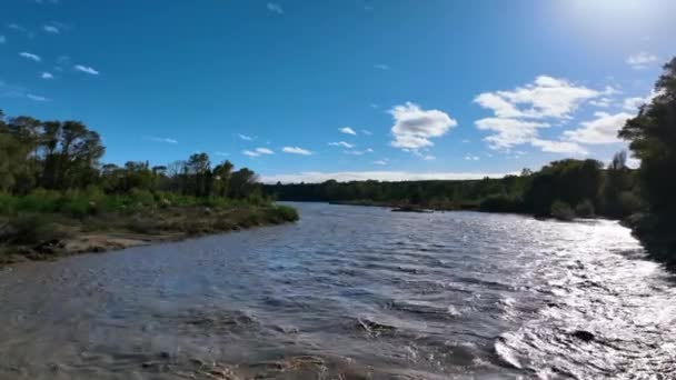 Lecące Nisko Nad Szybko Poruszającą Się Zanieczyszczoną Wodą Rzece Rangitkei — Wideo stockowe