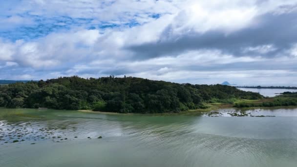 Vuela Hacia Exuberante Vegetación Isla Uretara Sobre Puerto Ohiwa Aotearoa — Vídeos de Stock