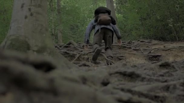 Mann Wandert Wald — Stockvideo