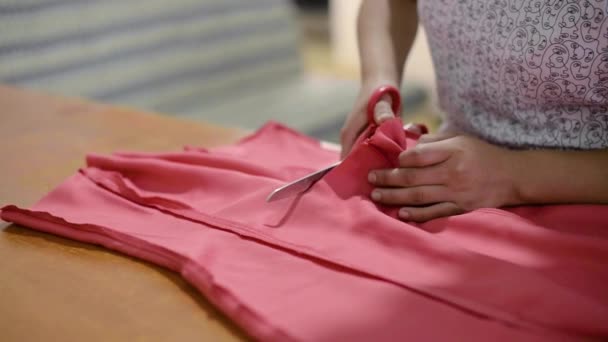 Couturière Latine Couper Une Robe Deux Pour Autres Ajustements Aide — Video