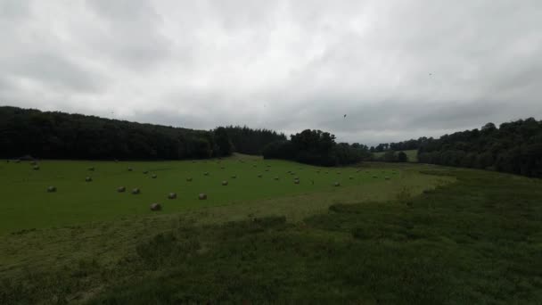 Drohnenschuss Von Einem Großen Grünen Feld Mit Heuballen Darin — Stockvideo