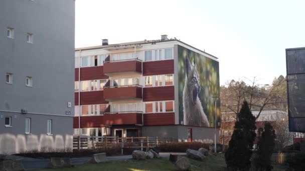 リンクス壁画 ヨーテボリ ベルクシュンのRymdtorgetで サギによる — ストック動画