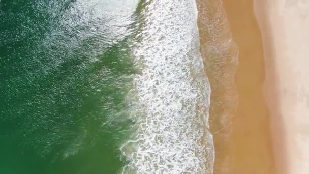 Vibrant Sandy Beach Ocean Tropical Colors Sun Reflection Aerial Tilt — Stok video
