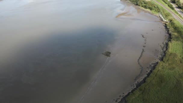 Dron Záběr Ukazuje Široký Ústí Řeky Slunečného Dne Irsku — Stock video
