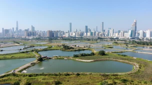 Shenzhen Skyline China Continental Visto Desde Hong Kong Lok Chau — Vídeo de stock