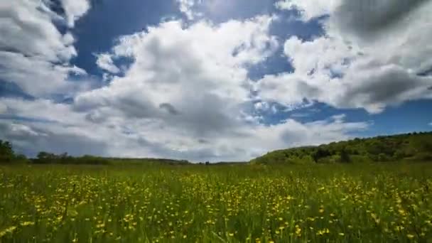 Καλοκαίρι Time Lapse Shot Μπλε Ουρανό Και Λευκά Σύννεφα Πρώτο — Αρχείο Βίντεο
